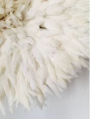 Juju Hat, Lesse, plumes blanc