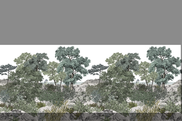 Papier peint Forêt de Bretagne naturel POUR SOPHIE
