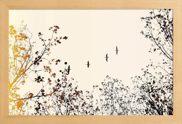 Affiche cadre bois Anjobony noir et blanc