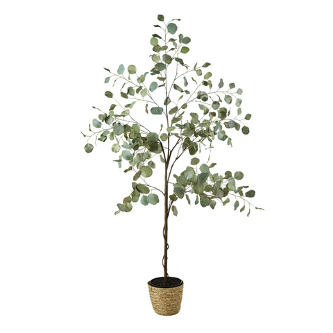 SP Eucalyptus artificiel