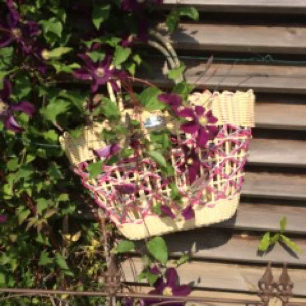 Panier Carcarañá blanc