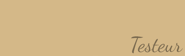 Pot testeur peinture, velouté, Beige paillotte