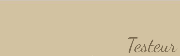 Pot testeur peinture, velouté, Beige pisco