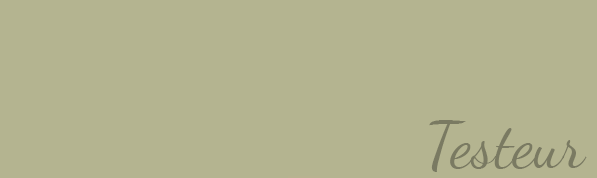 Pot testeur peinture, velouté, Vert verveine