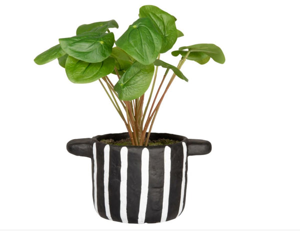 Plante artificielle Manambovo