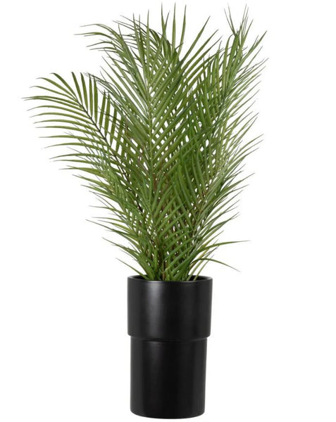 Plante artificielle Manambolo